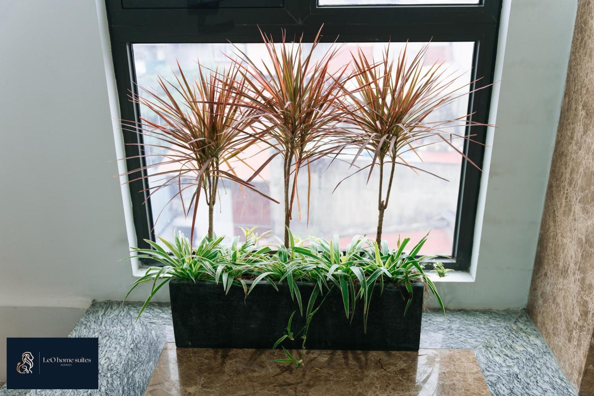 Home Suites -Natural Light -Projector -Spacious - 2Br Incenter Hanoi Exteriör bild
