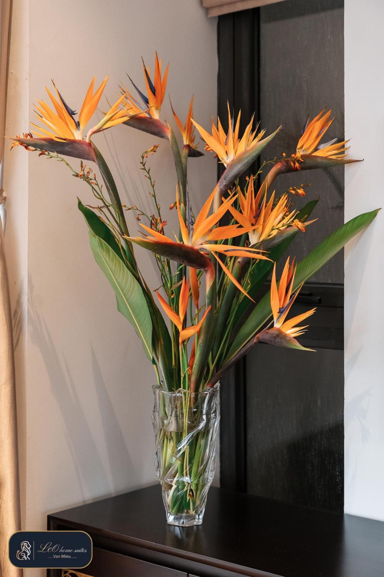 Home Suites -Natural Light -Projector -Spacious - 2Br Incenter Hanoi Exteriör bild