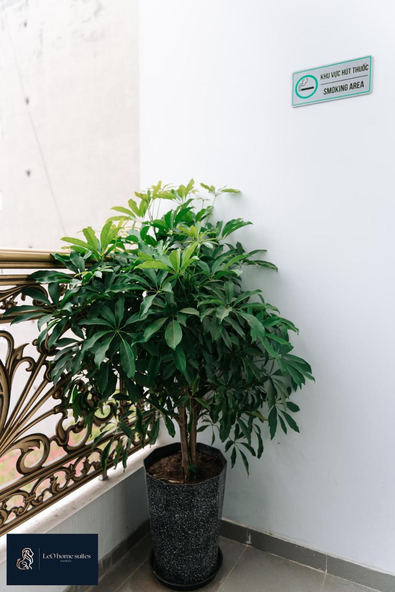 Home Suites -Natural Light -Projector -Spacious - 2Br Incenter Hanoi Exteriör bild